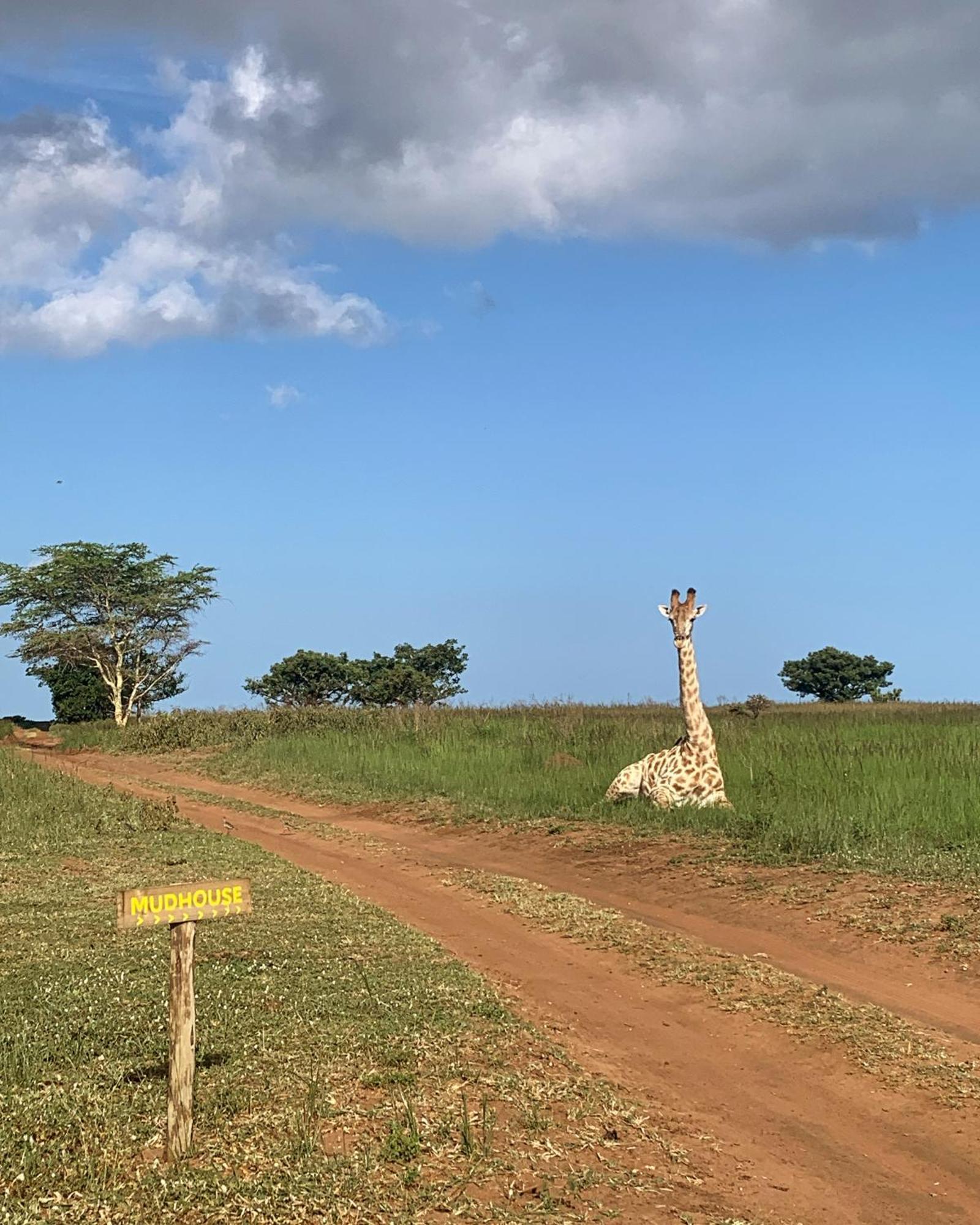Mudhouse Zululand Villa ฮลูฮลูเว ภายนอก รูปภาพ